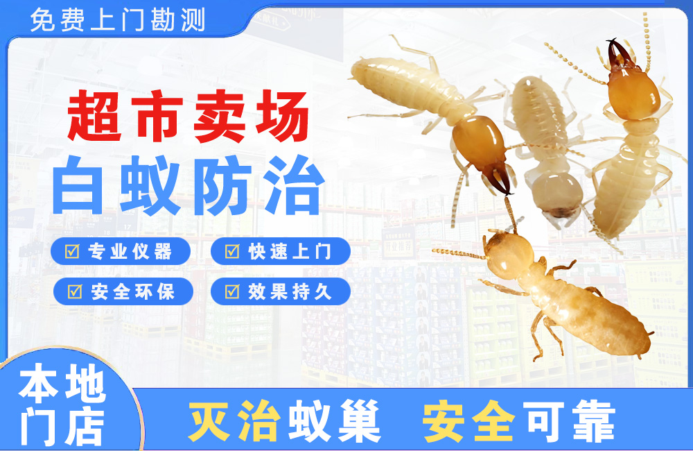 澄海超市卖场白蚁防治