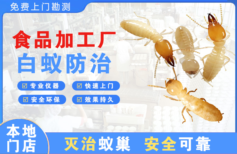 澄海食品加工厂白蚁防治