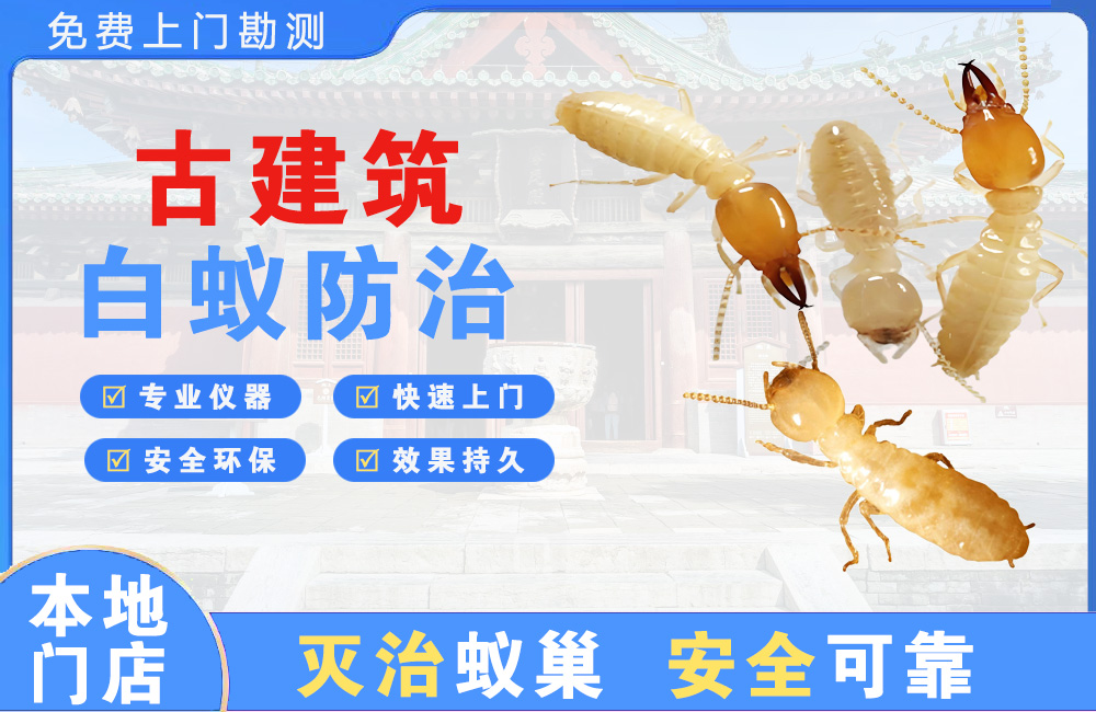 澄海古建筑白蚁防治
