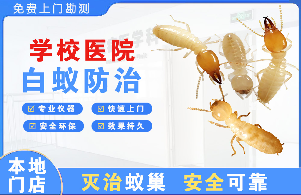 澄海学校医院白蚁防治