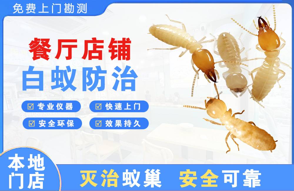 澄海餐厅店铺白蚁防治